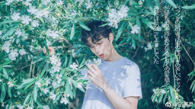 「你的夏日男友已上线 快来签收吧」
摄影/后期：阿丁
出镜：@王舜冬
师傅：@夏弃疾_ @是夏夏的
Sony A7m2+Sigma 35/1.4 Art DG HSM
