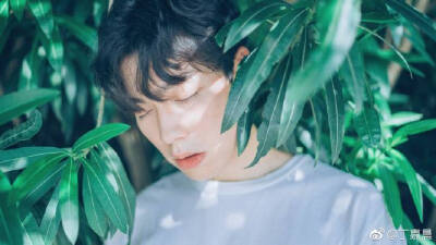 「你的夏日男友已上线 快来签收吧」
摄影/后期：阿丁
出镜：@王舜冬
师傅：@夏弃疾_ @是夏夏的
Sony A7m2+Sigma 35/1.4 Art DG HSM
