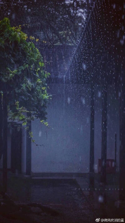 瞻园·雨意 ​