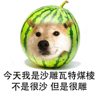 快乐快乐