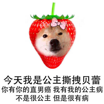 快乐快乐