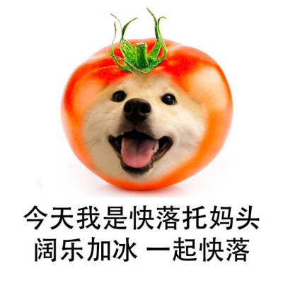 快乐tomato！