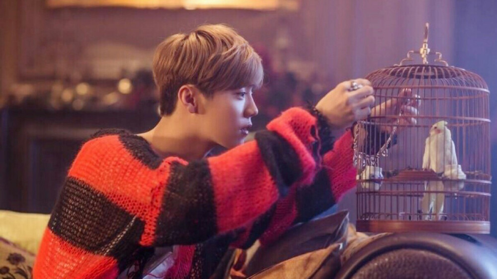 【宋初】橙光素材