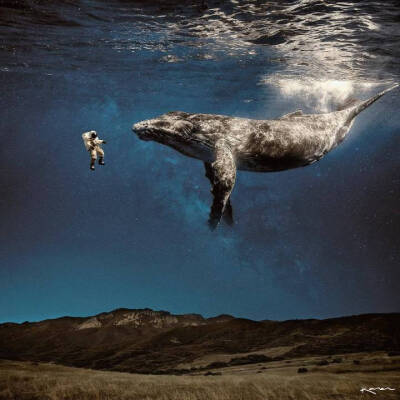 别人的优秀作品，分享一下
源自微博，来源见水印