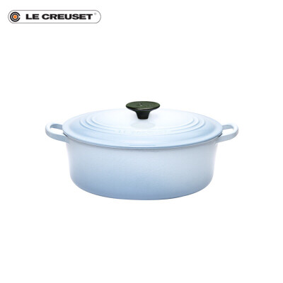 LE CREUSET 酷彩 珐琅铸铁锅 椭圆形锅 炖煮 27cm 4.1L