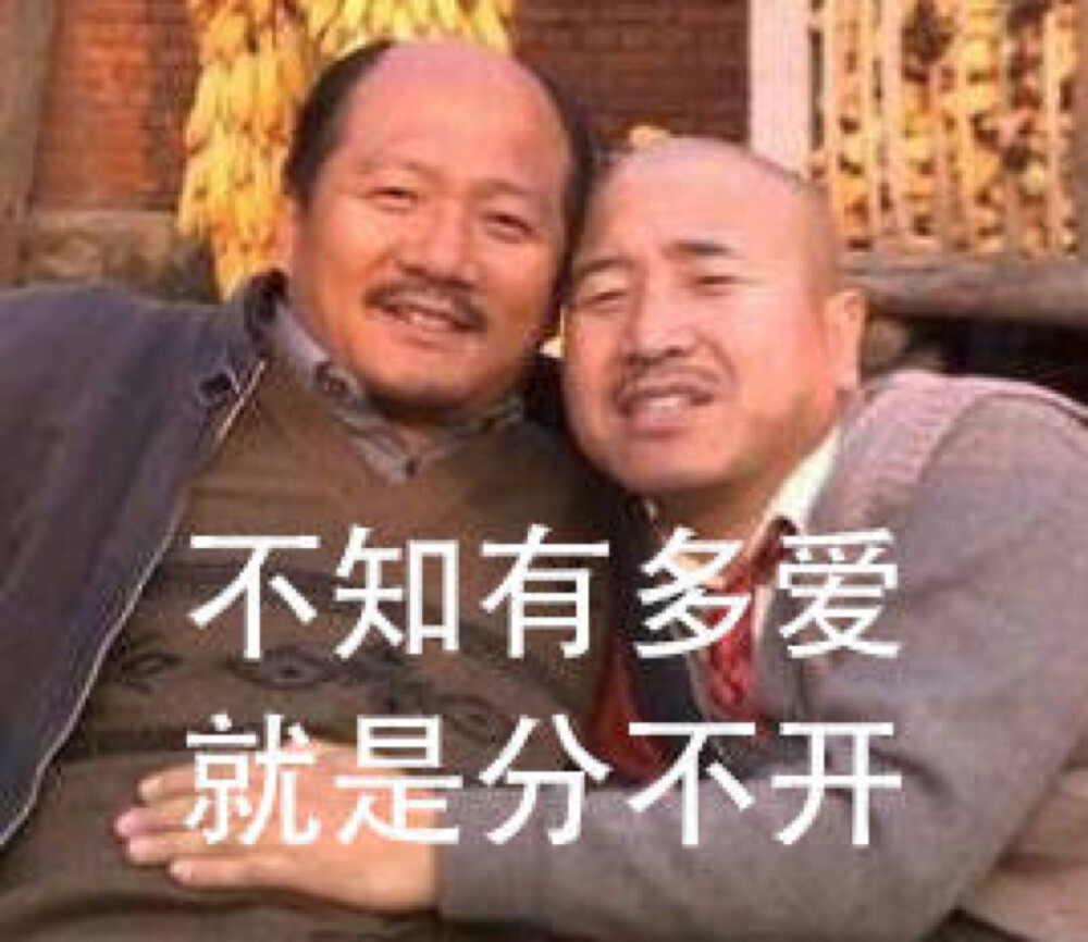 刘能谢广坤表情包