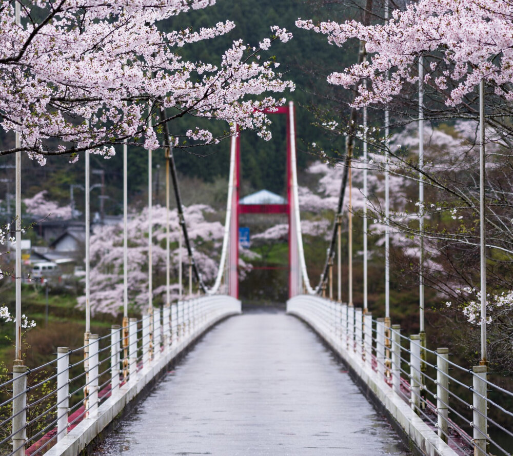 日本