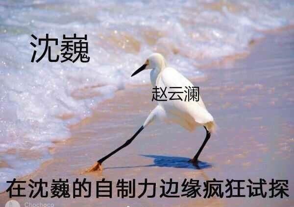 镇魂表情包