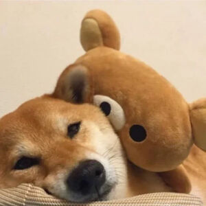 搞怪，，，情头