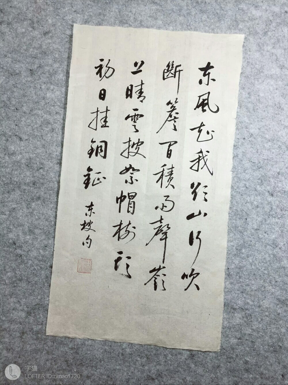 啟功lofter字貓