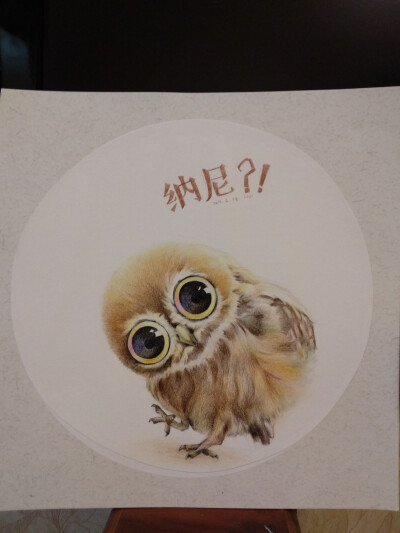 萌宠