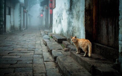 烏篷船，聽雨眠，一蓑煙雨枕江南。 ​