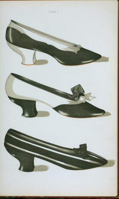 1900年出版的《十九世纪女鞋》，Greig, T. Watson绘制。 ​​​​