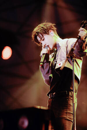 酷萌酷萌的汪可爱