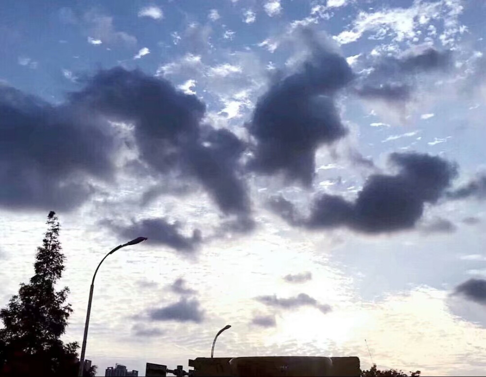 QQ名片背景 聊天背景 空间背景 手机壁纸 ” 啾咪