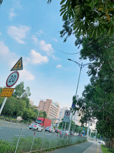 我眼里的风景