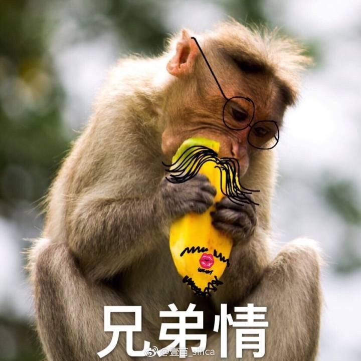 白宇芒果朱一龙毛猴表情