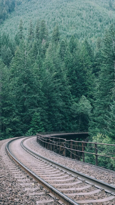 山川树木