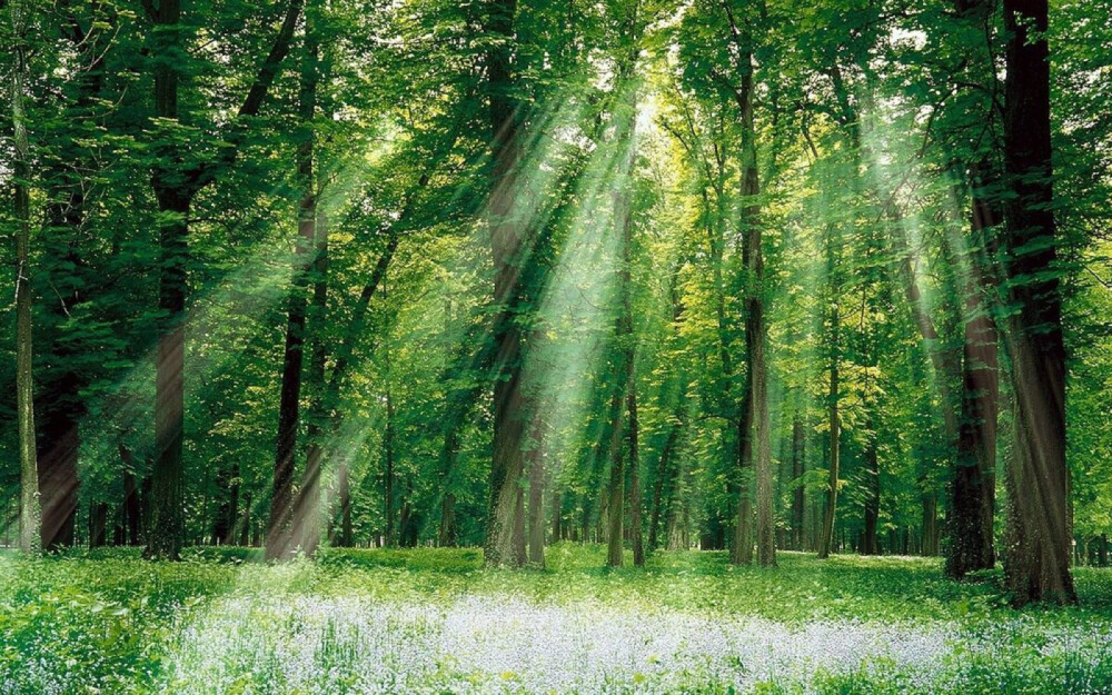 风景素材