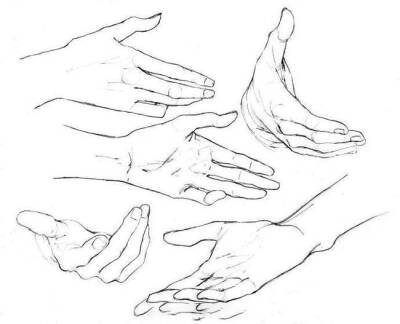 手/绘画教程
