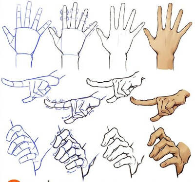 手/绘画教程
