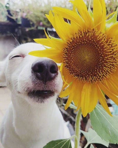 壁纸 朋友圈背景 头像