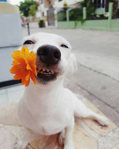 壁纸 朋友圈背景 头像