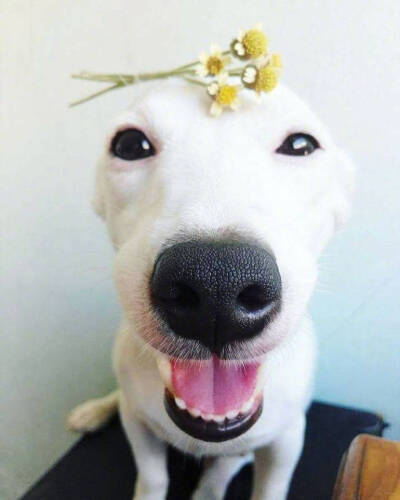 壁纸 朋友圈背景 头像