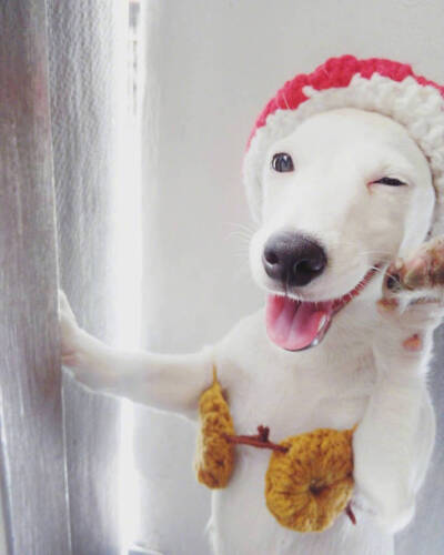 壁纸 朋友圈背景 头像