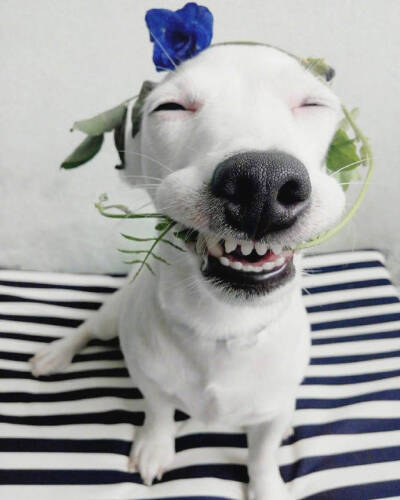 壁纸 朋友圈背景 头像