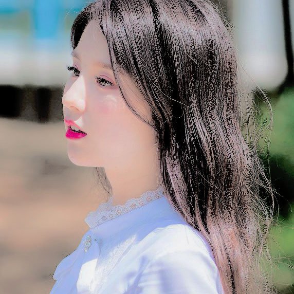 田姬振 heejin icons