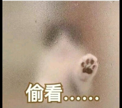 撒娇表情包