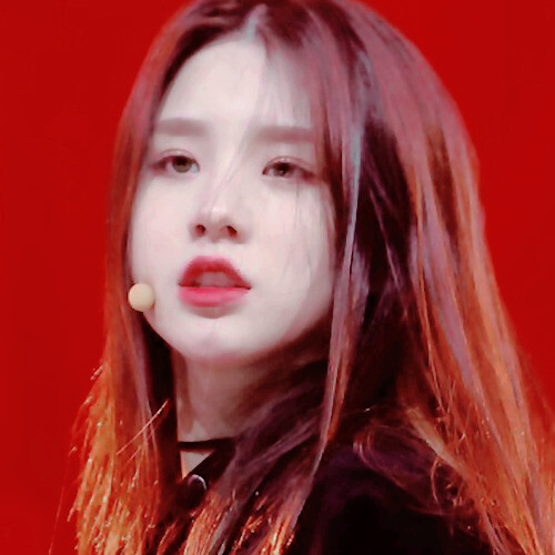 田姬振 heejin icons