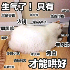 表情包 可爱 喵星人