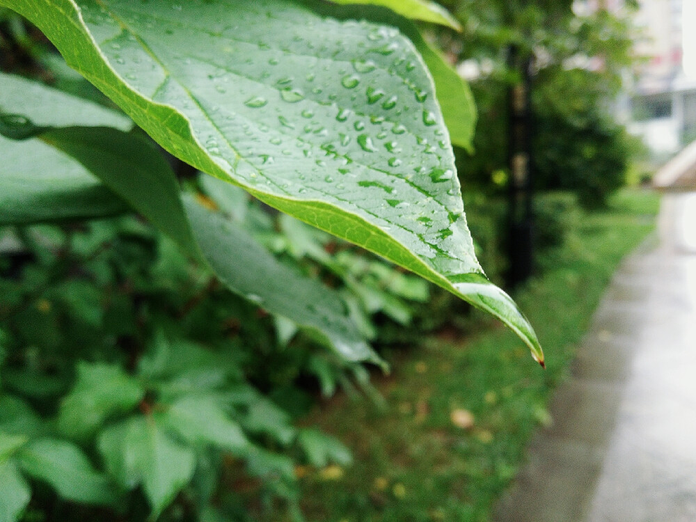 雨滴