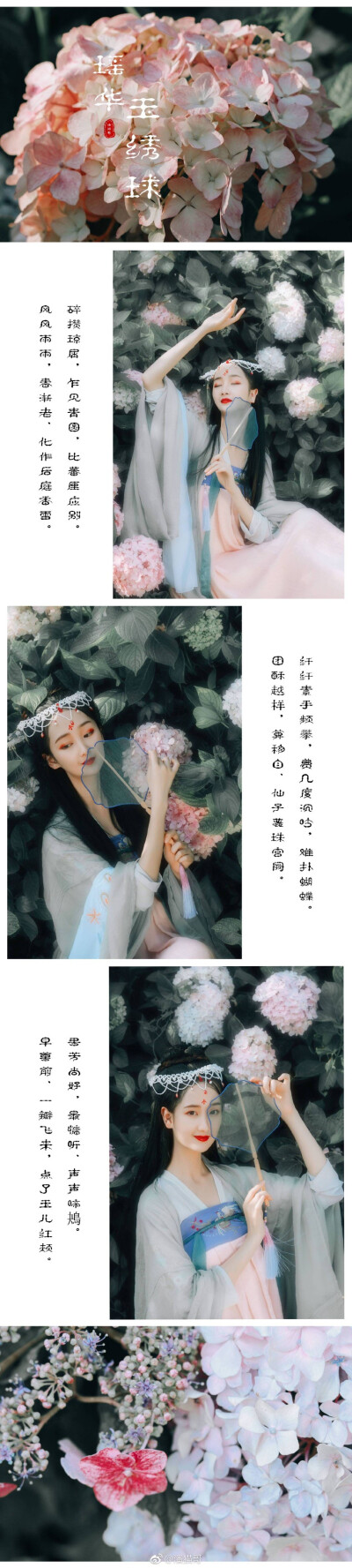 #汉服摄影#
瑶华 玉绣球（淸·龚翔麟）
纤纤素手频攀,费几度沉吟,难扑蝴蝶。
团酥越样,算移自,仙子蕊珠宫阙。
寻芳尚好,最慵听,声声啼鴂。
早尊前,一瓣飞来,点了玉儿红颊。
小仙女：@pan倩---
摄影 后期：@潘猫…