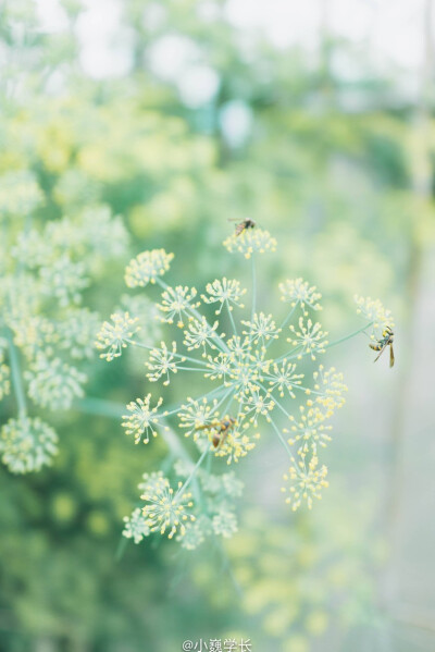 @小巍学长：Spring 触手可及。 ​