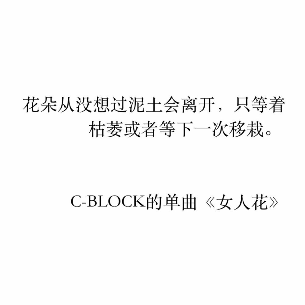 花朵从没想过泥土会离开，只等着枯萎或者等下一次移栽。 来自C-BLOCK的单曲《女人花》