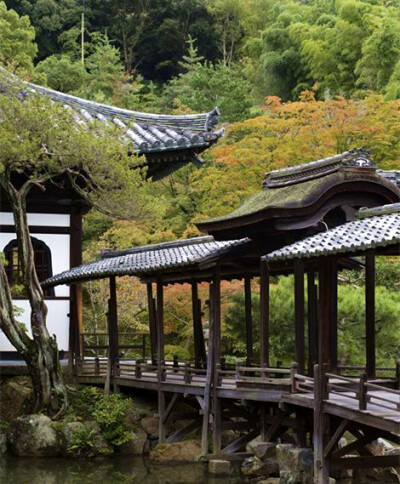 Kodai-ji Temple 高代寺