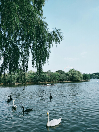 風(fēng)景shanghai