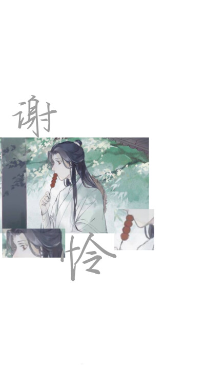 蓝湛魏婴 蓝忘机魏无羡
谢怜花城 天子悦神血雨探花
魔道祖师 天官赐福