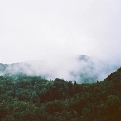 风景头