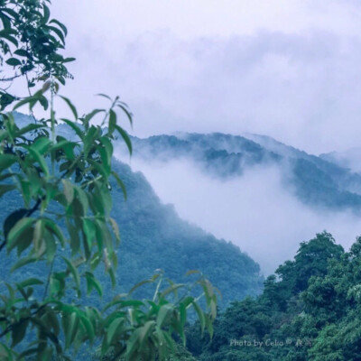 风景头