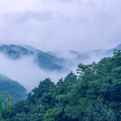 风景头