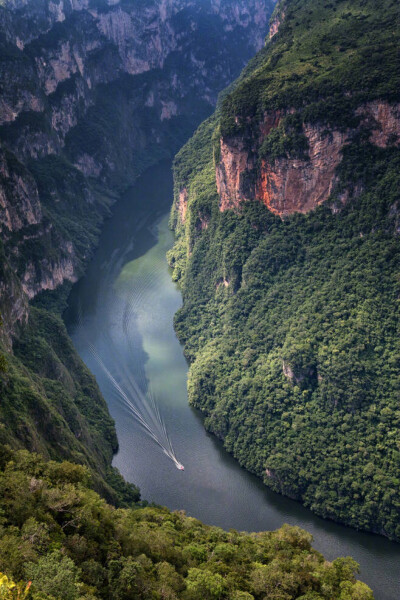 风景照