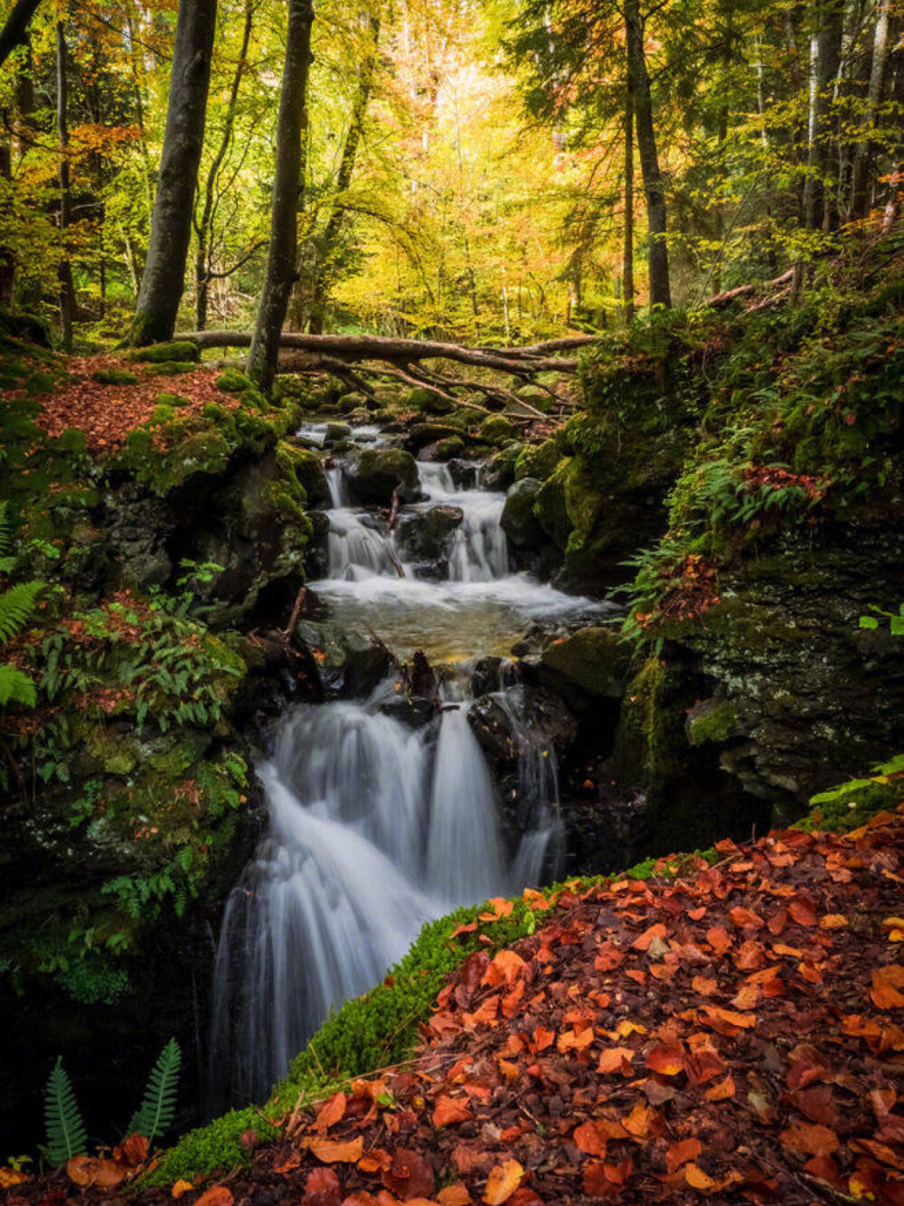 风景照