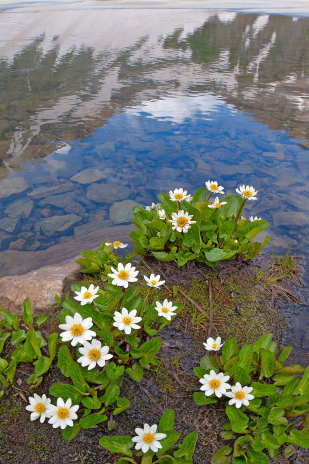 风景照