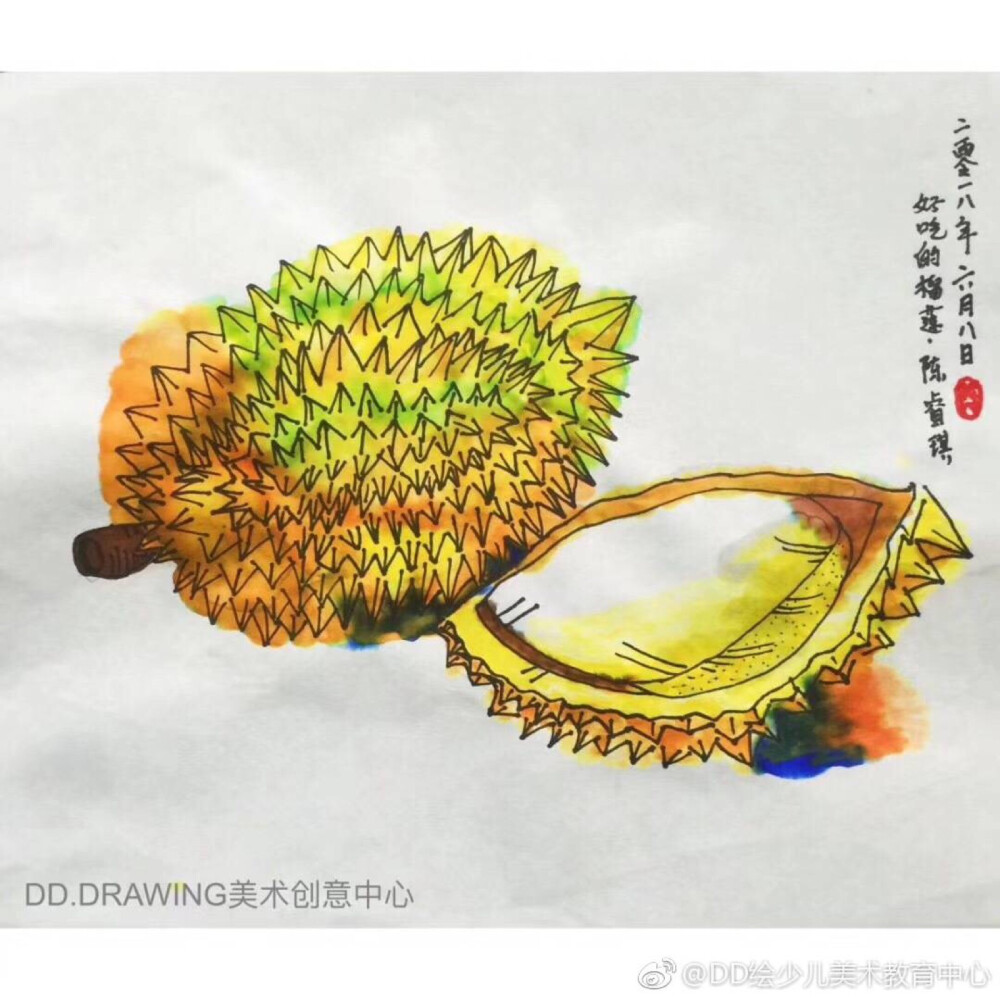 写生菠萝，荔枝