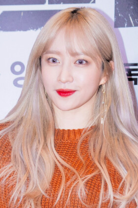 hani