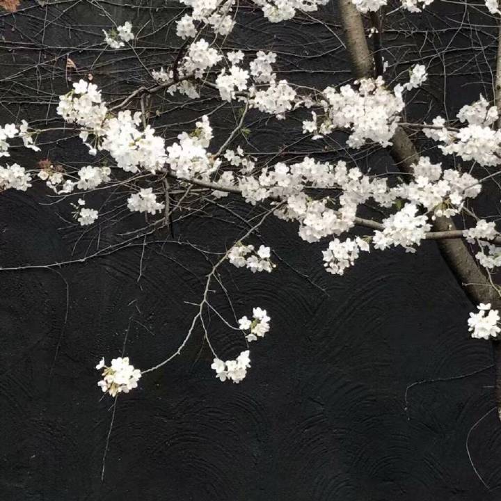 背景图